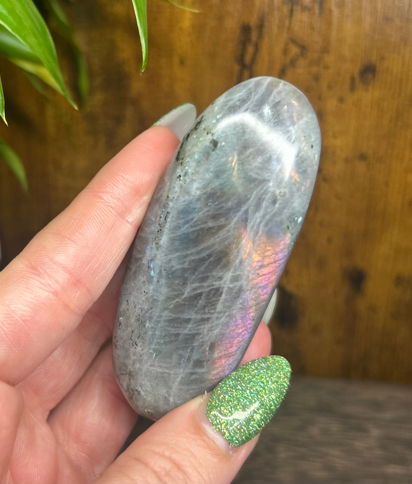 Labradorite Rainbow Flashy Palm Stone