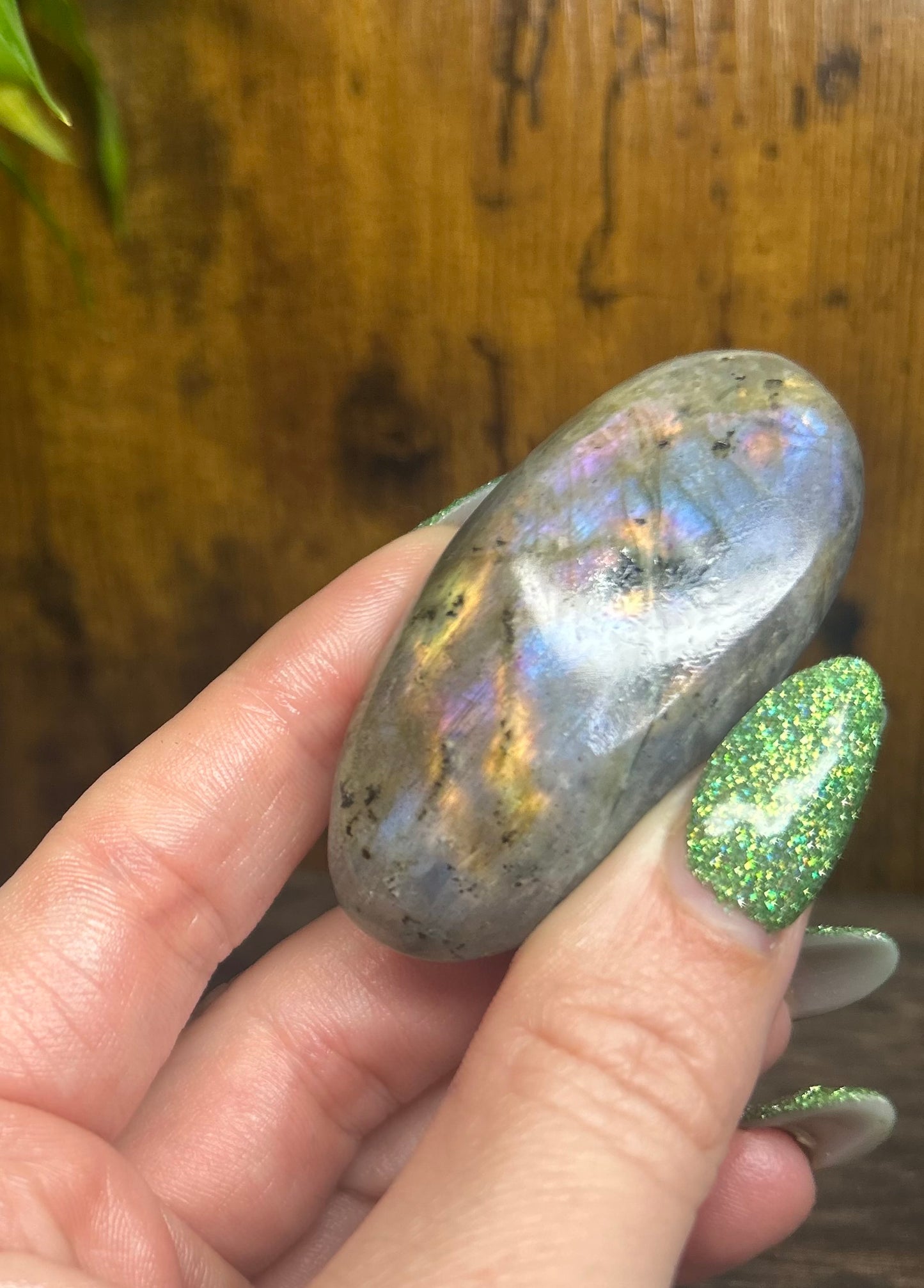 Labradorite Multi Rainbow Flashy Palmstone