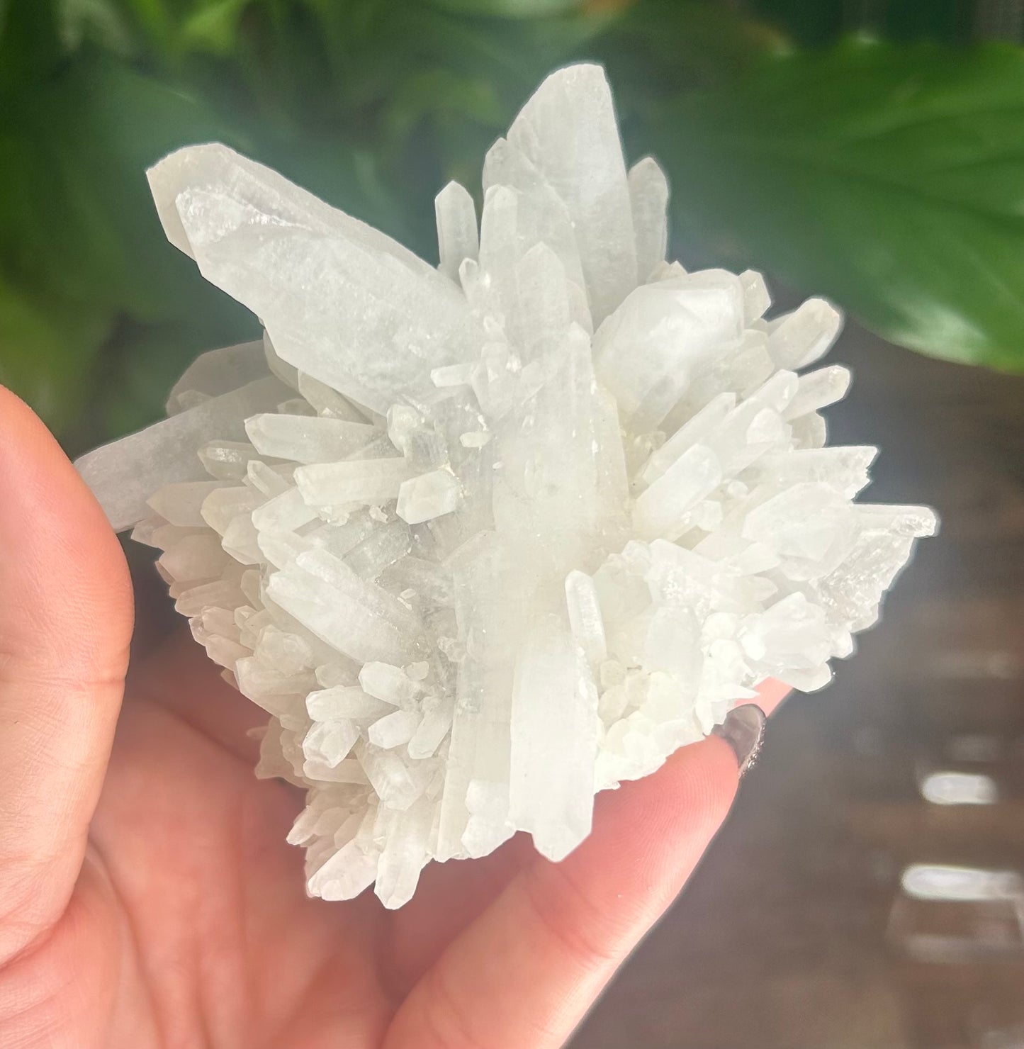 Milky Snow Quartz Needle Specimen