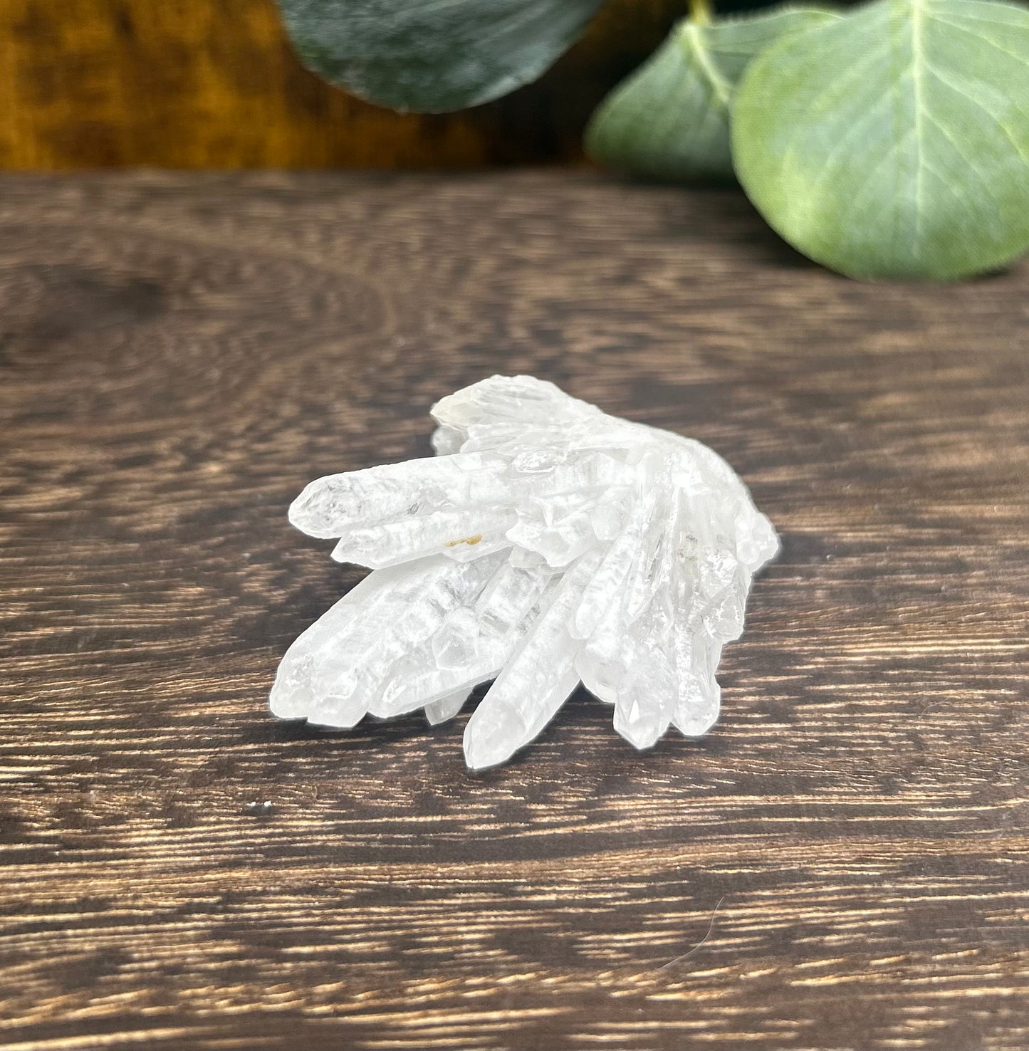 Quartz Needle Point Cluster Specimen
