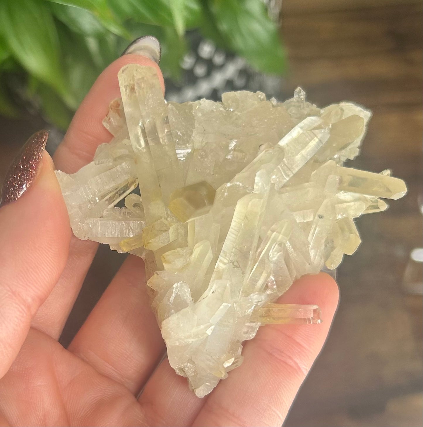 Kundalini Quartz Laser Raw Specimen