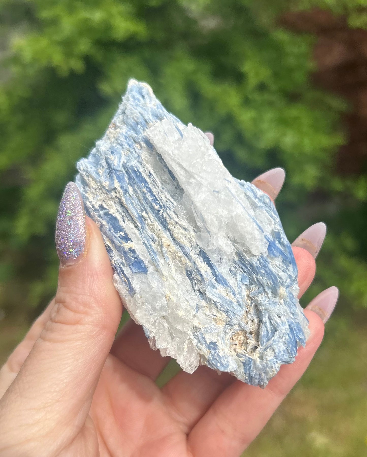 Kyanite With Quartz Raw