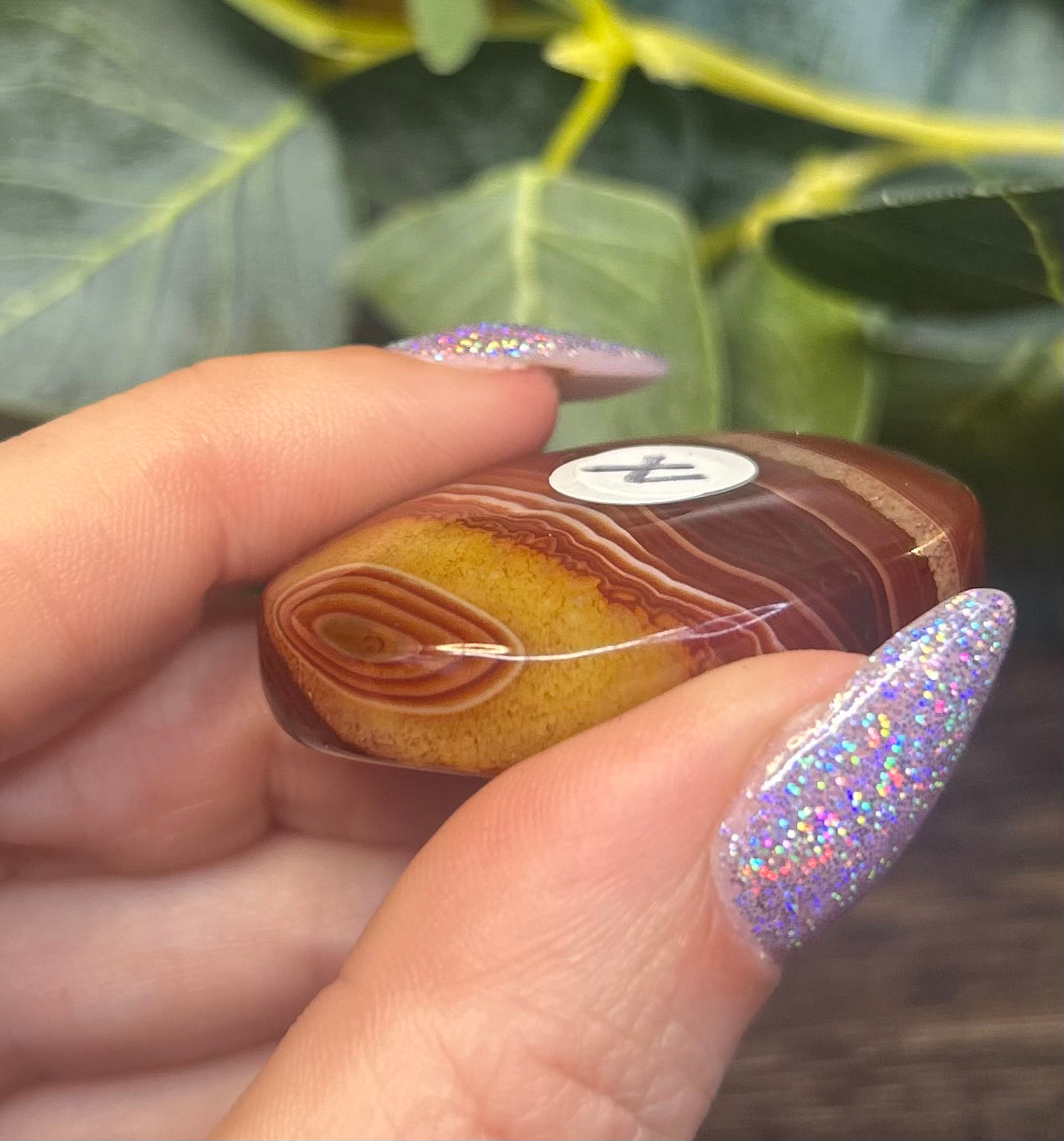 Sardonyx Banded Palm Stones