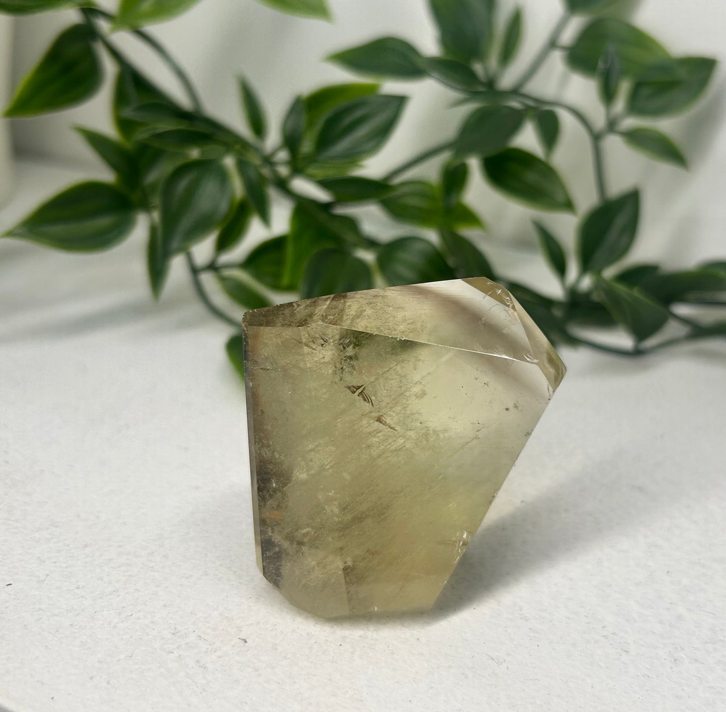Citrine Freeform