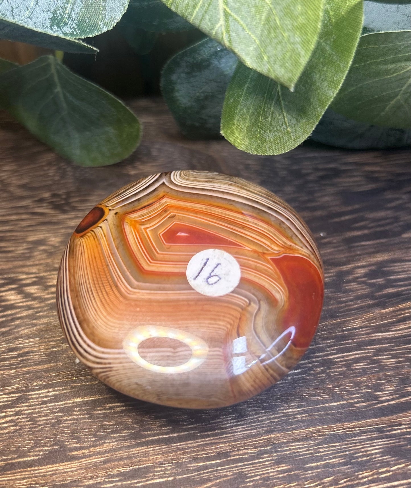 Sardonyx Palm / Carving / Paperweight