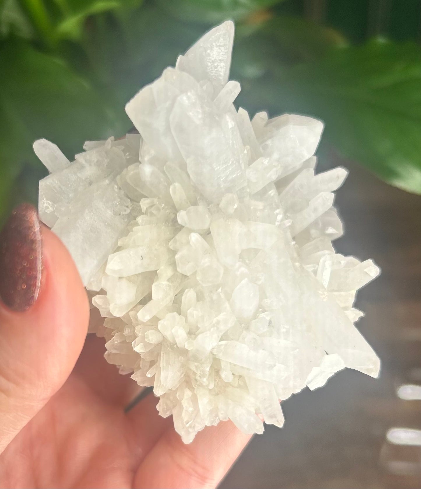 Milky Snow Quartz Needle Specimen