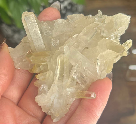 Kundalini Quartz Laser Raw Specimen