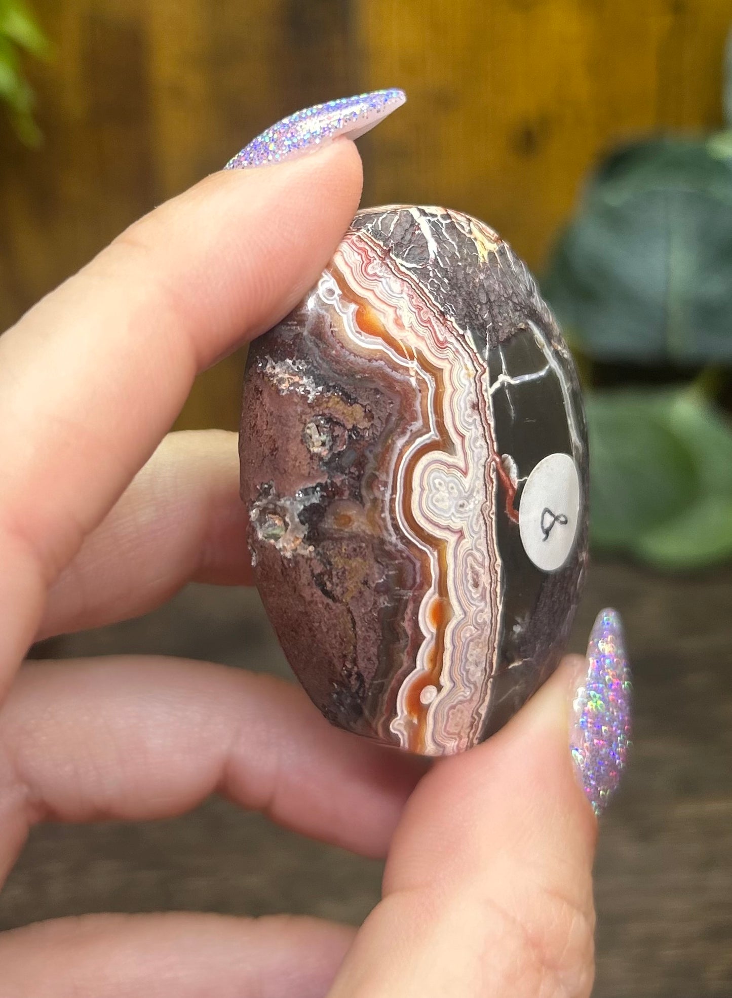 Mexican Crazy Lace Palm Stone