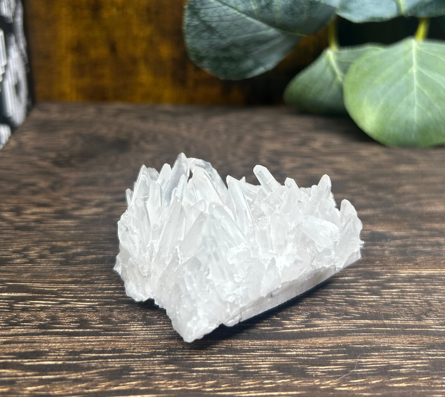 Quartz Needle Point Raw Specimen