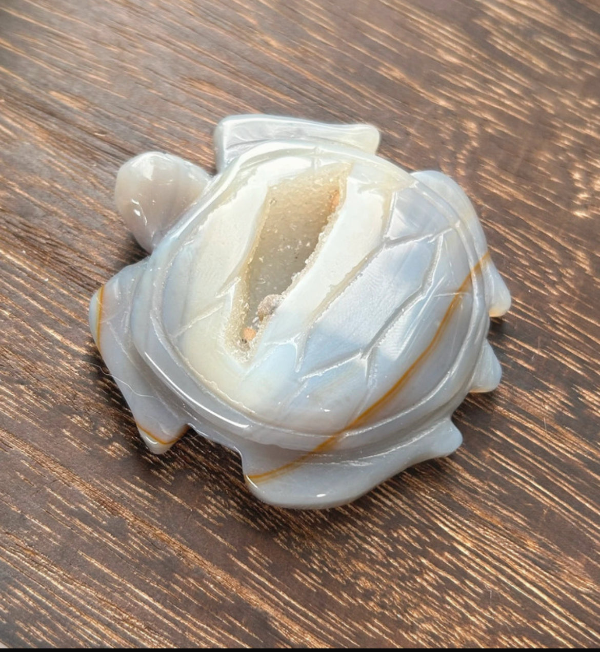 Druzy Agate Crystal Turtle