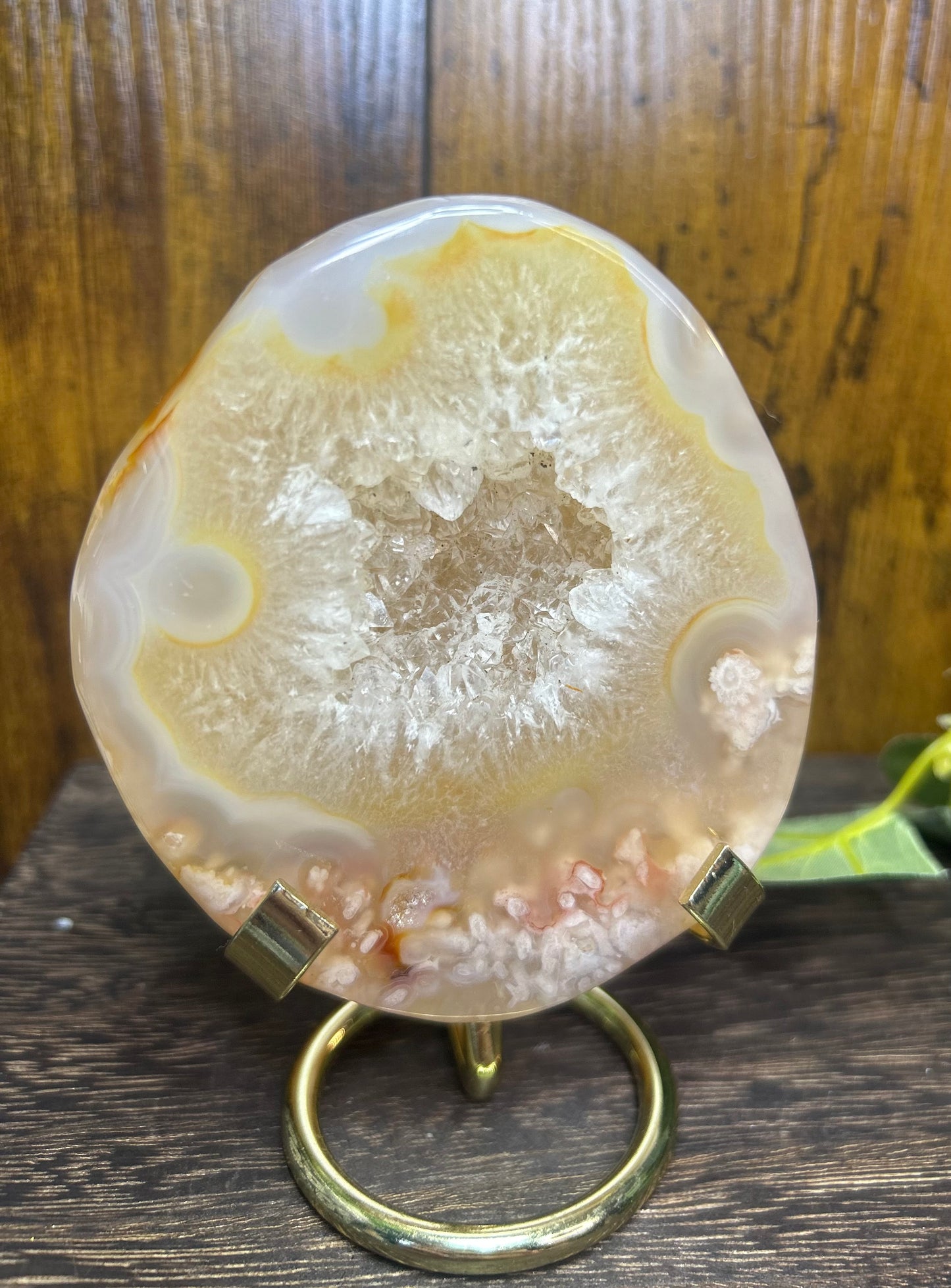 Flower Agate Druzy Round Statement Carving