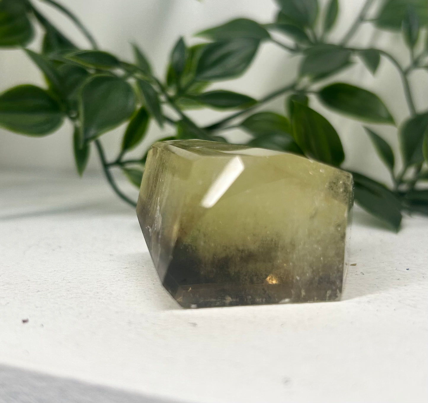 Citrine Freeform