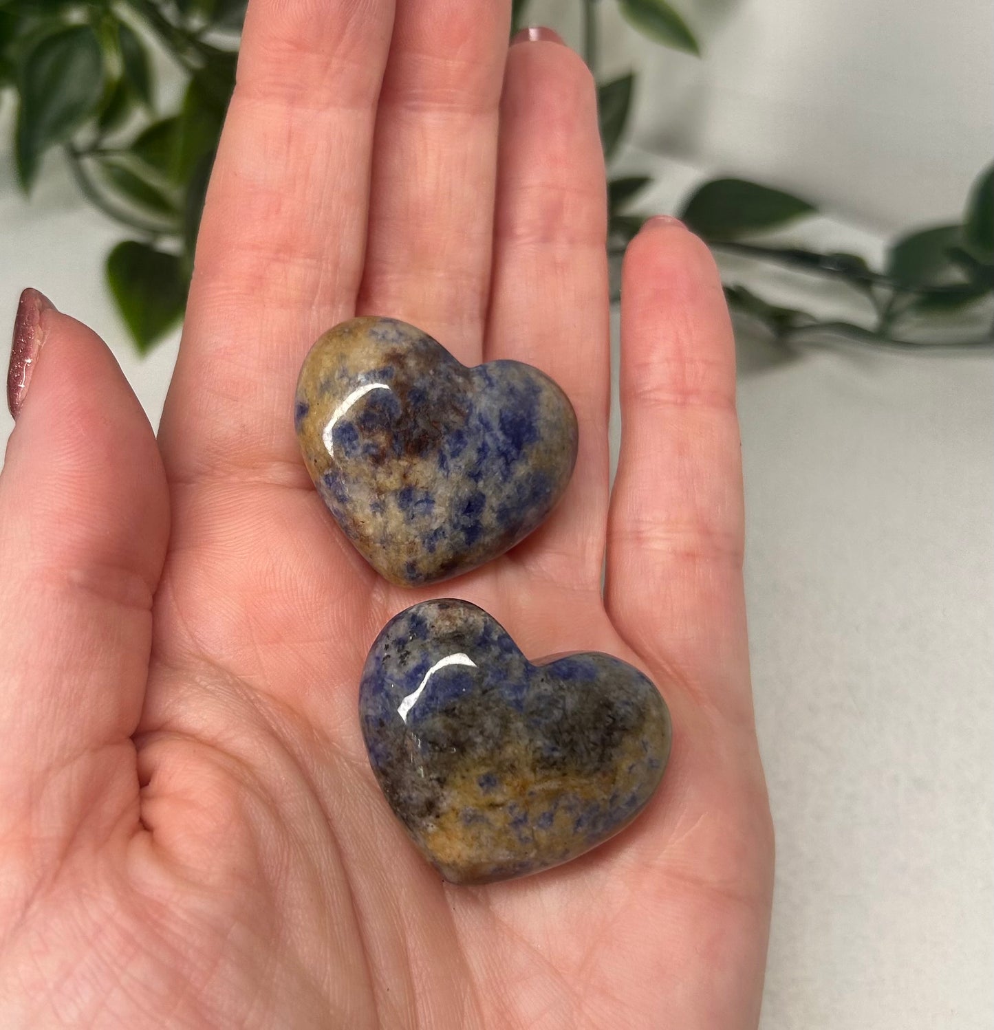 Sodalite Pocket Hearts