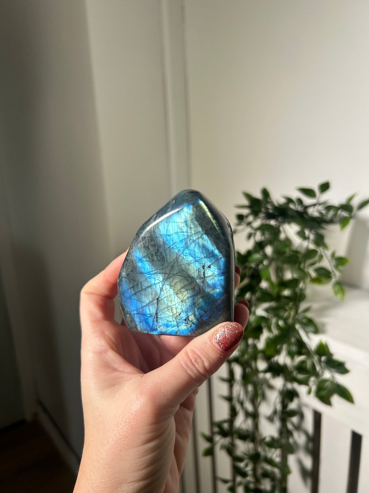 Labradorite Flashy Freeform