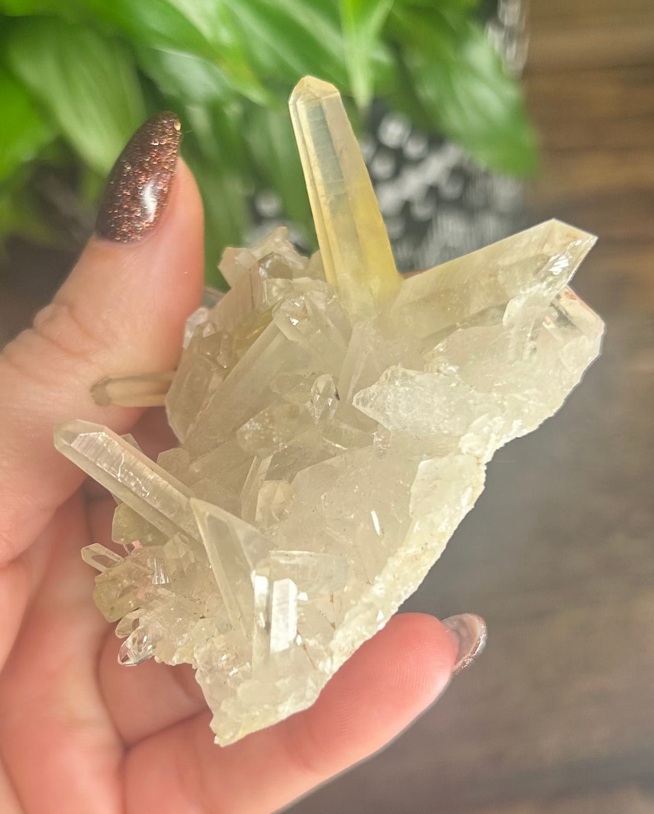 Kundalini Quartz Laser Raw Specimen