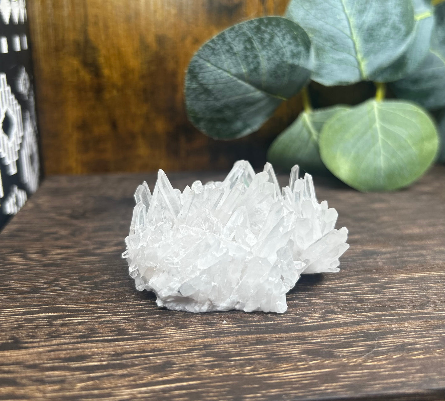 Quartz Needle Point Raw Specimen