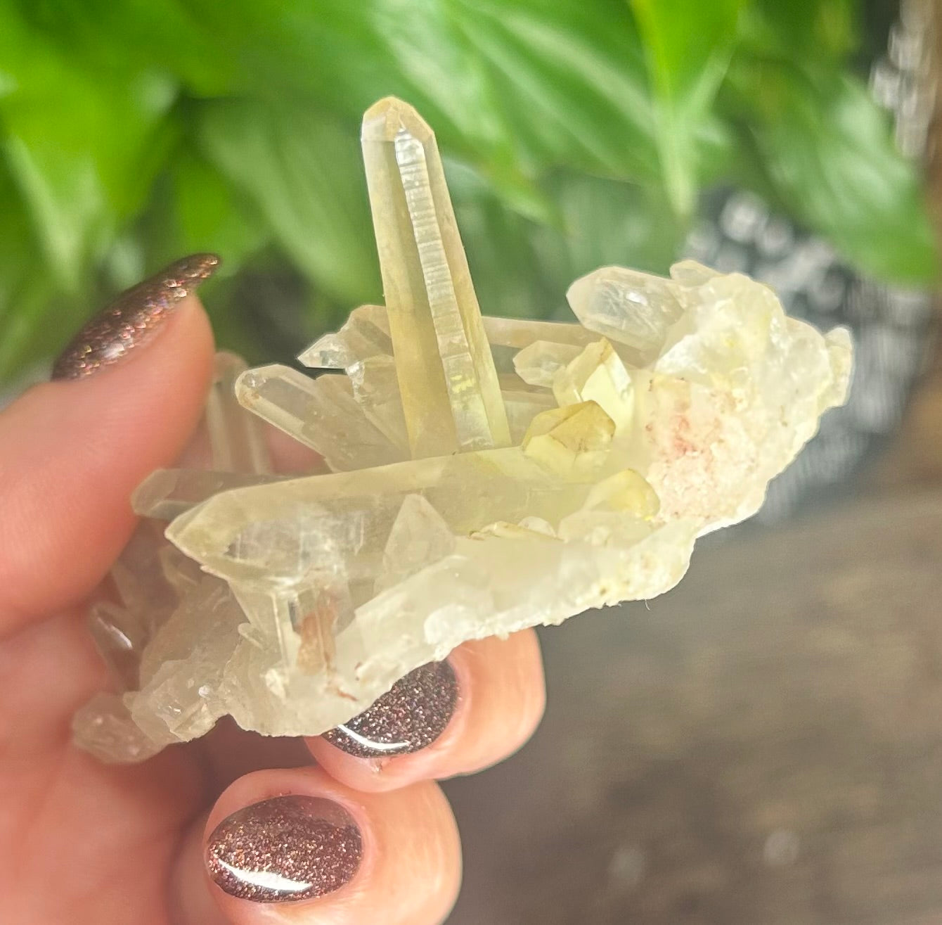 Kundalini Quartz Laser Raw Specimen