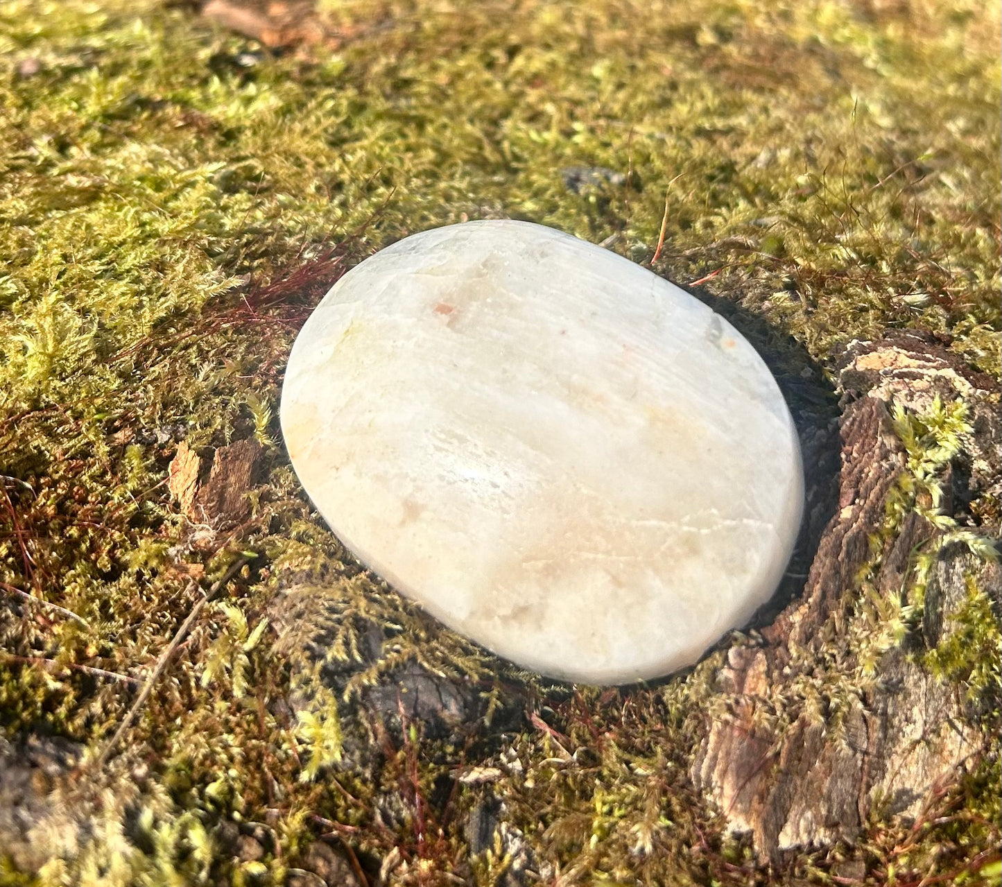 Sunstone Palm With Small Chip