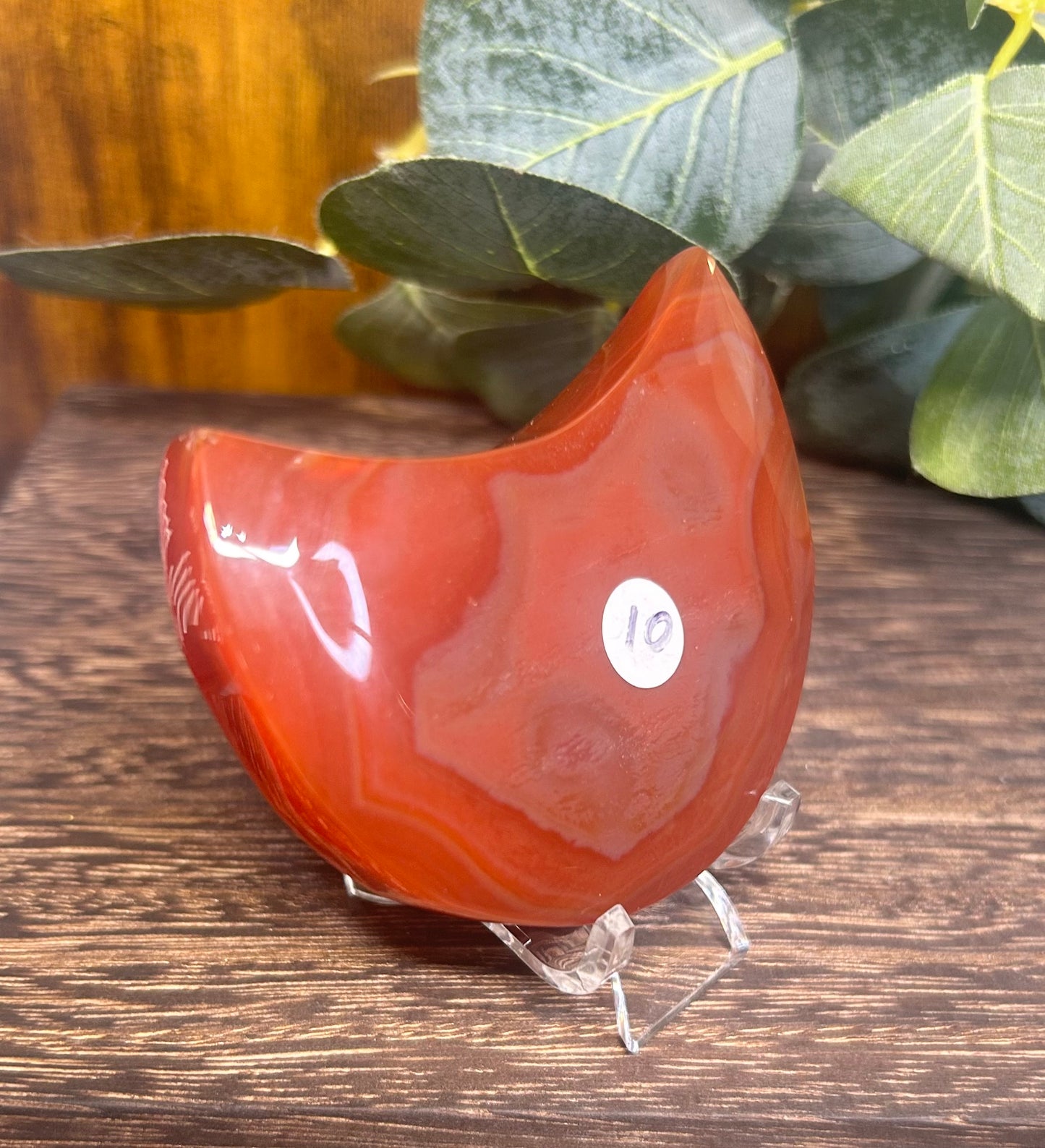 Carnelian Moon Carving