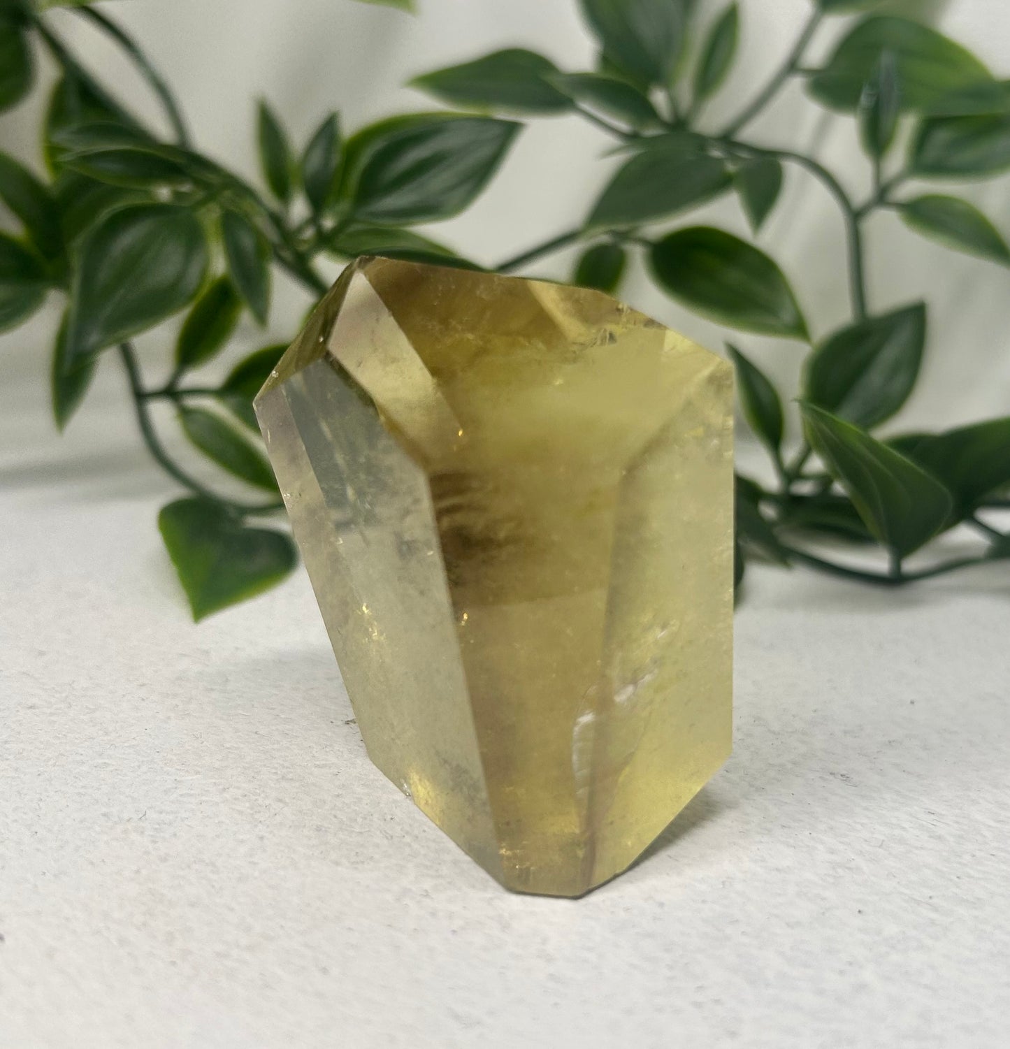 Citrine Freeform