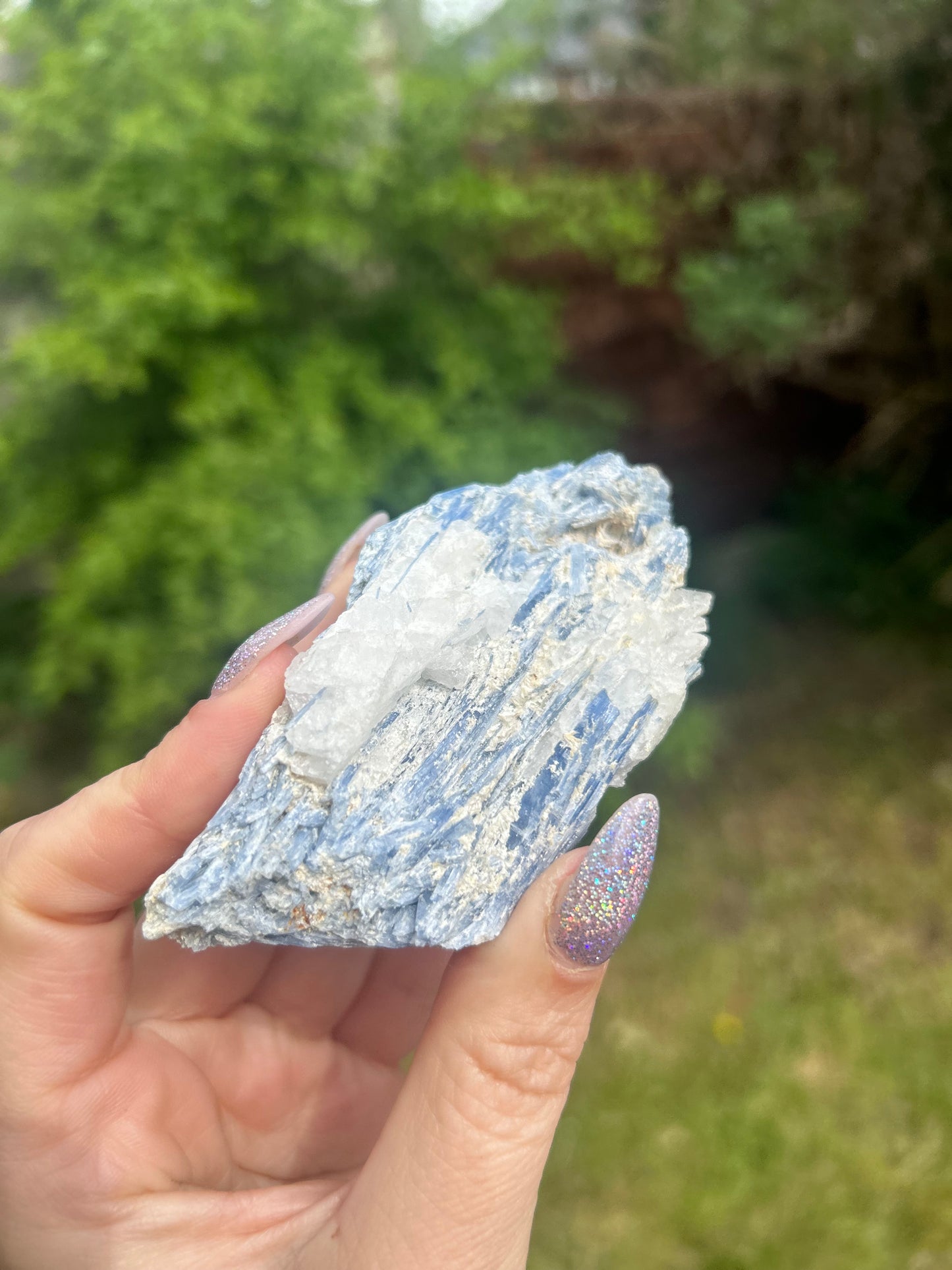 Kyanite With Quartz Raw