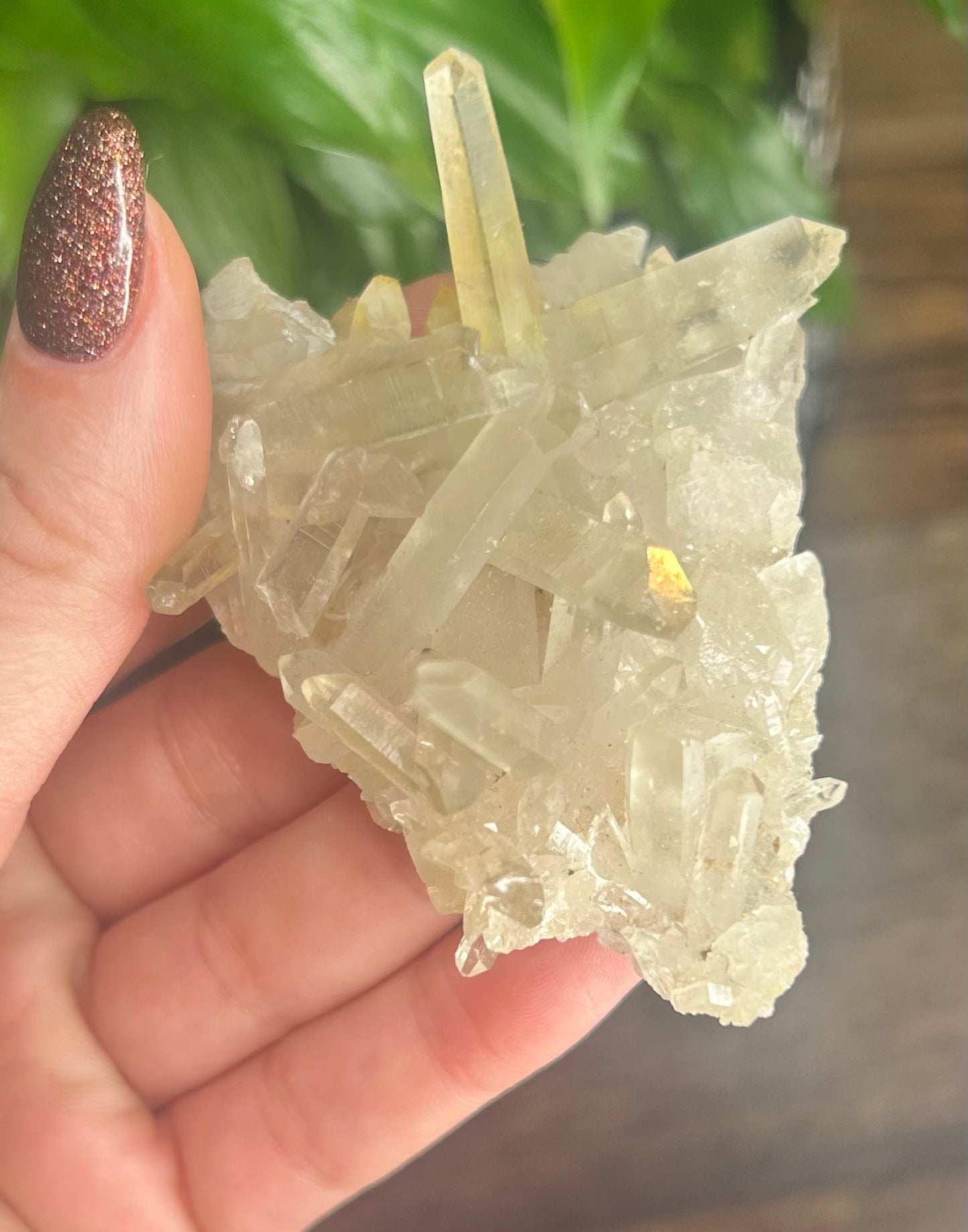 Kundalini Quartz Laser Raw Specimen