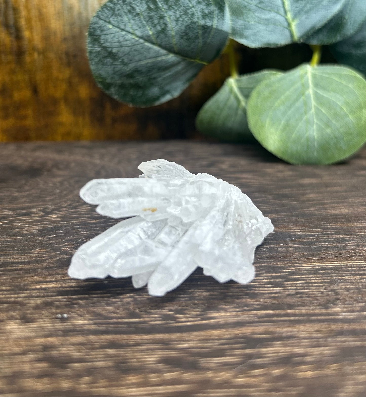 Quartz Needle Point Cluster Specimen