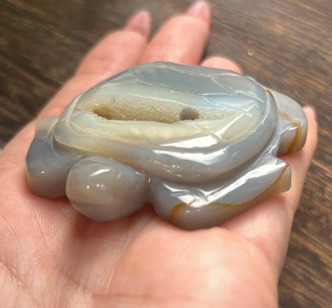 Druzy Agate Crystal Turtle