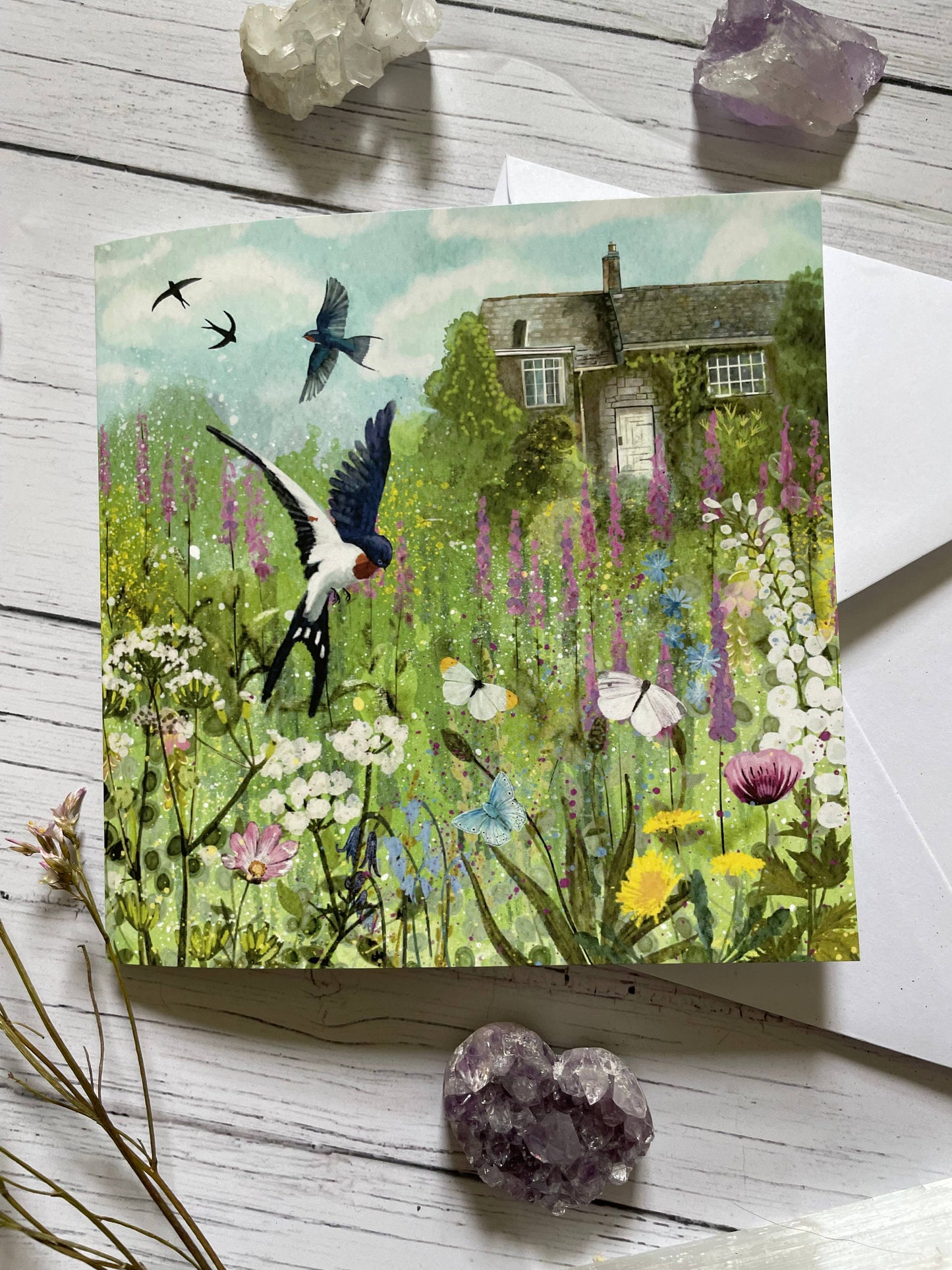 Swallows