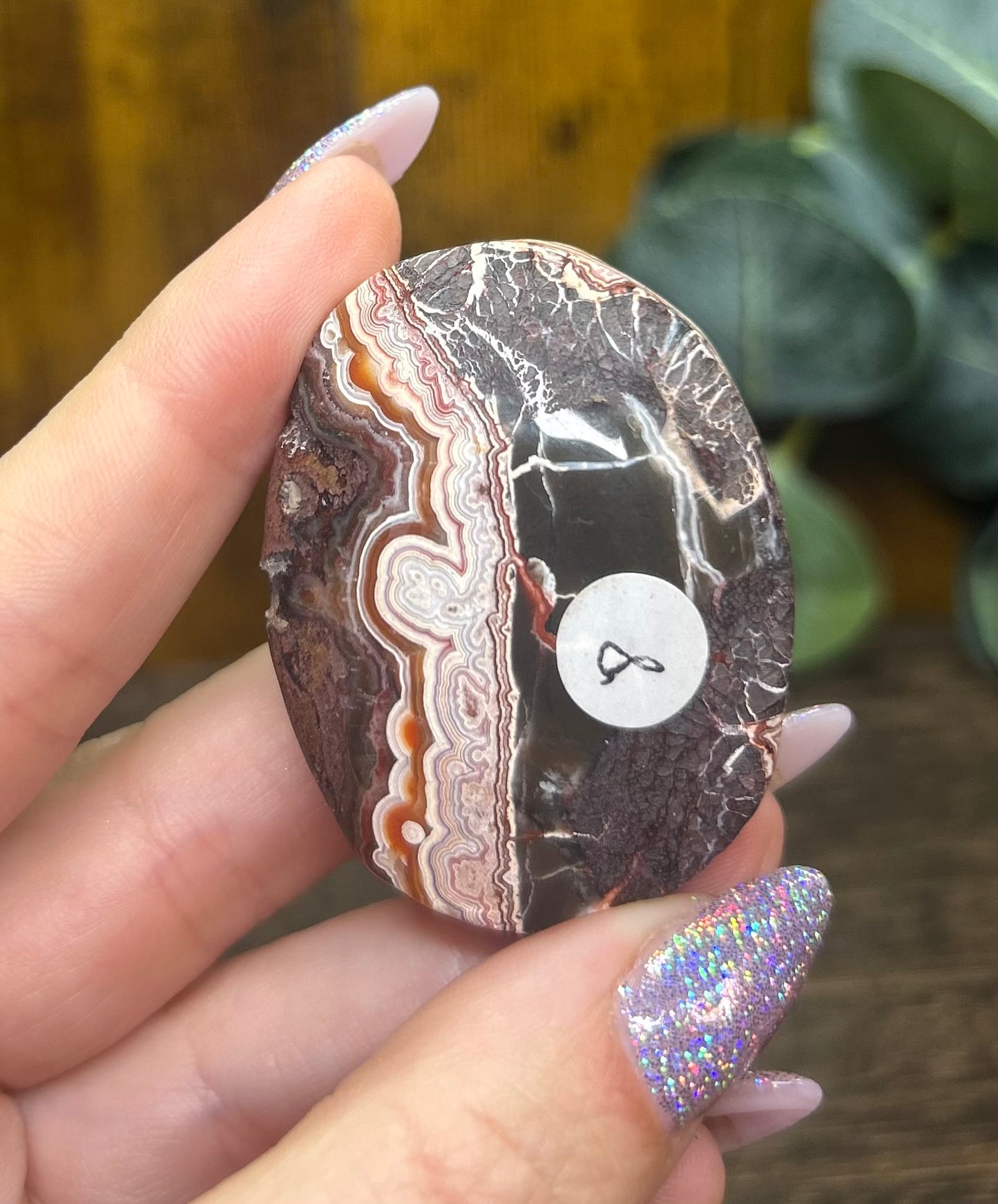 Mexican Crazy Lace Palm Stone