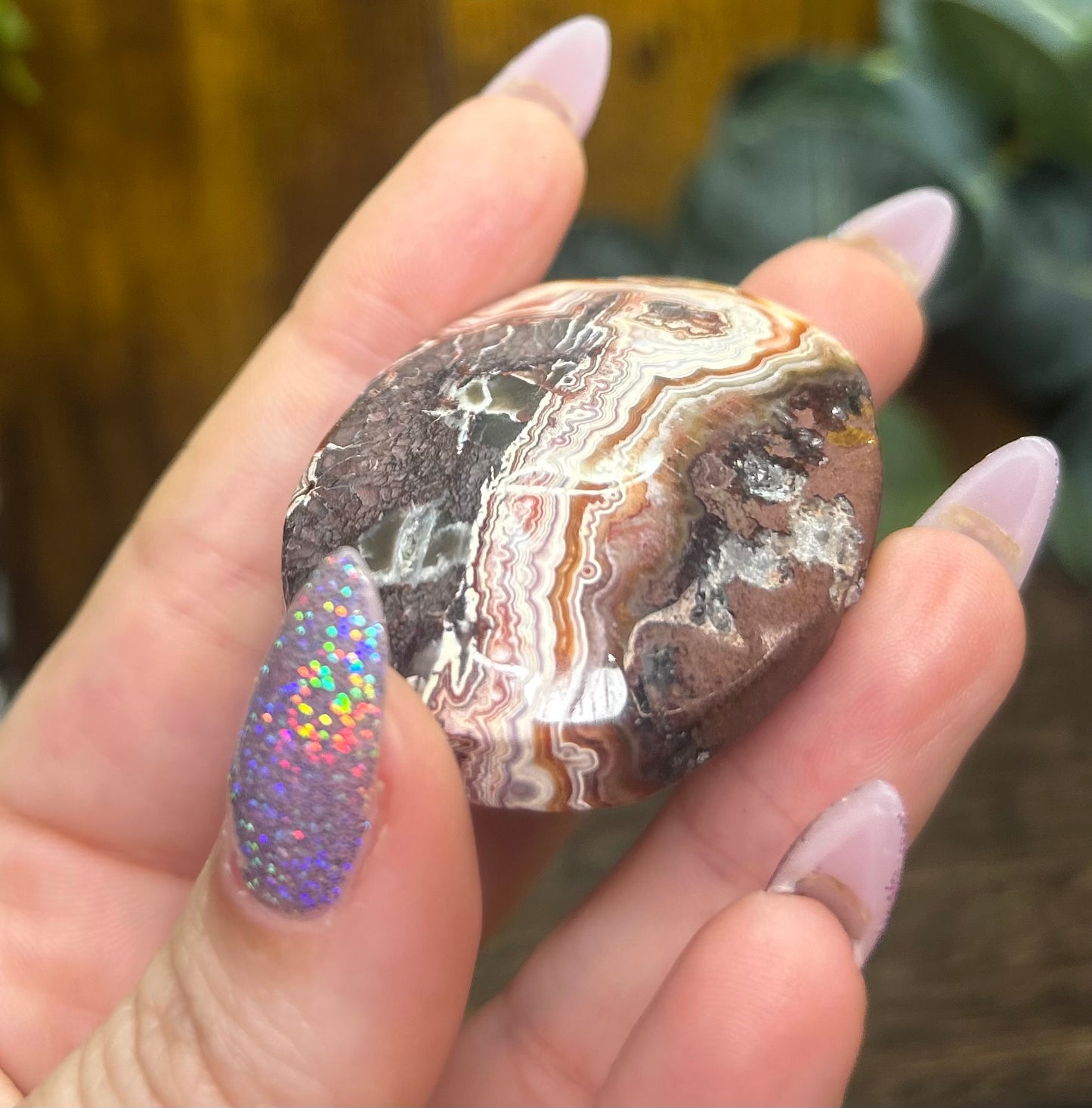 Mexican Crazy Lace Palm Stone