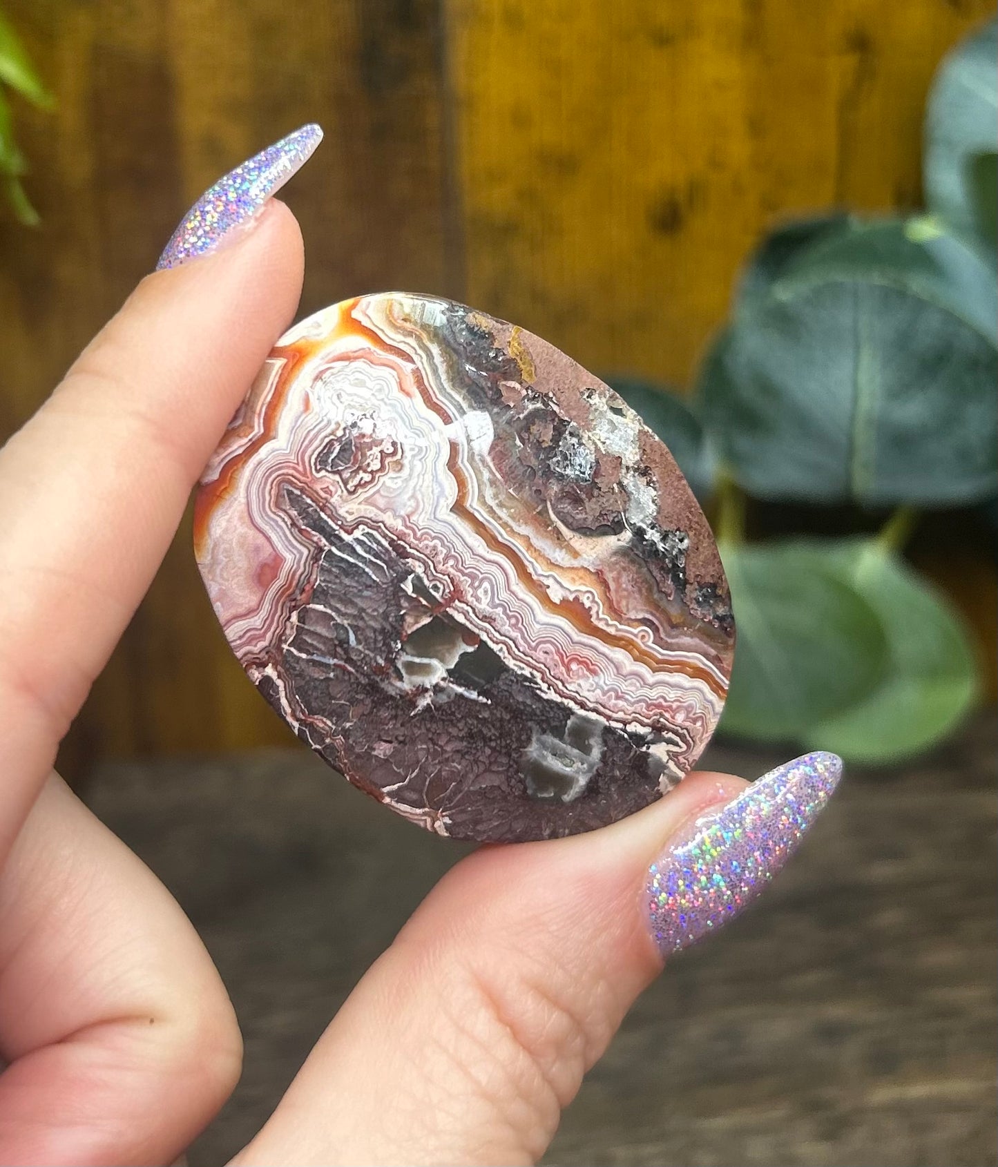 Mexican Crazy Lace Palm Stone