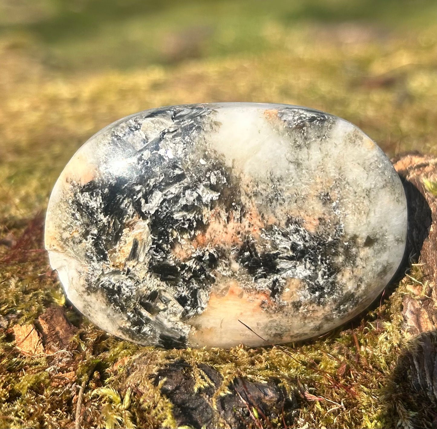 Sunstone Palm With Small Chip