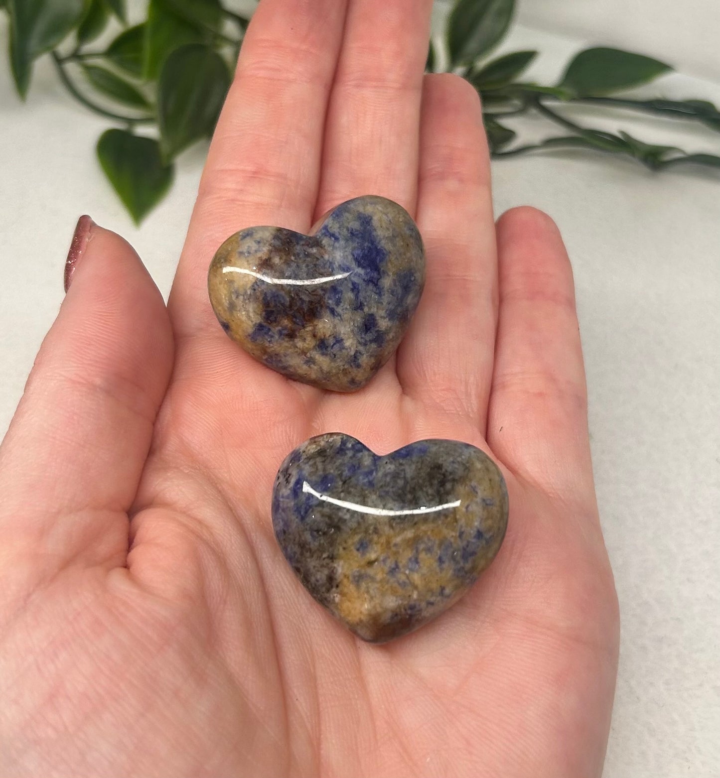 Sodalite Pocket Hearts