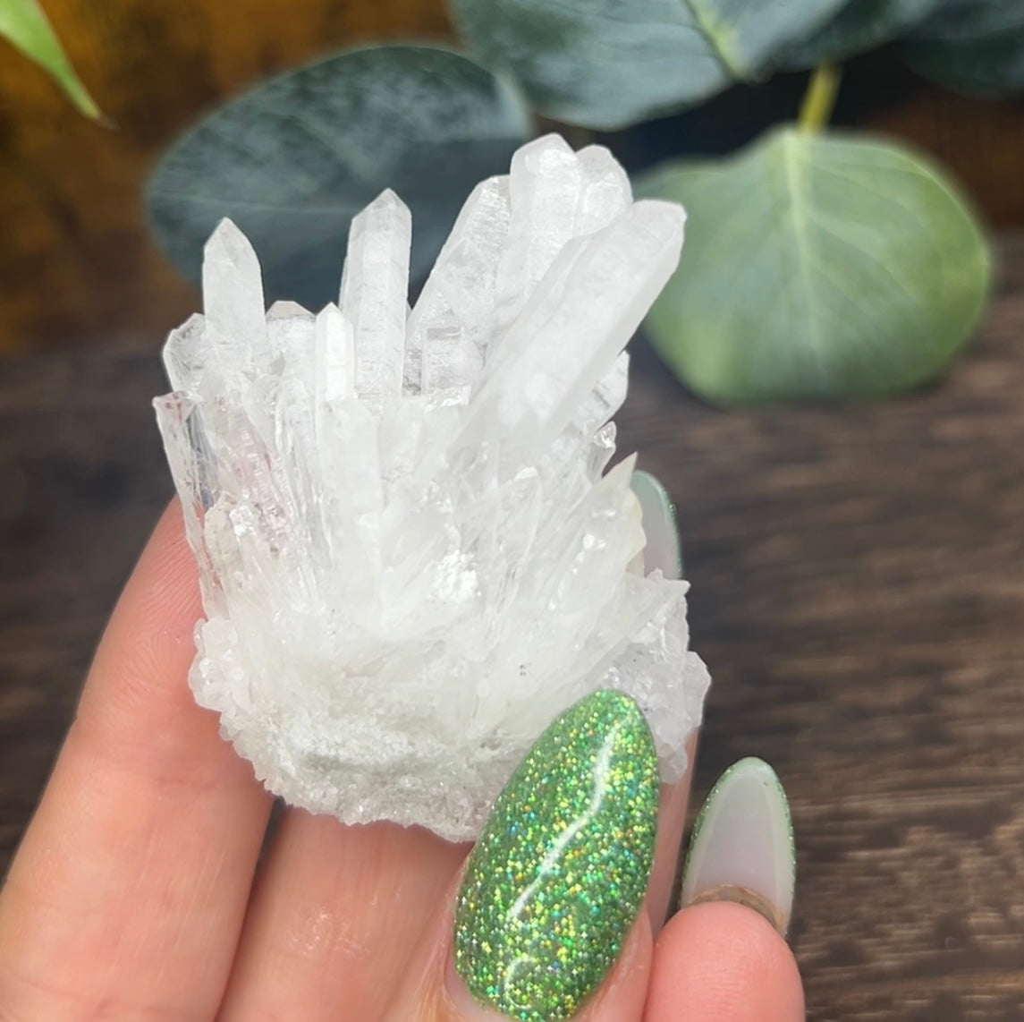 Quartz Needle Point Cluster Specimen