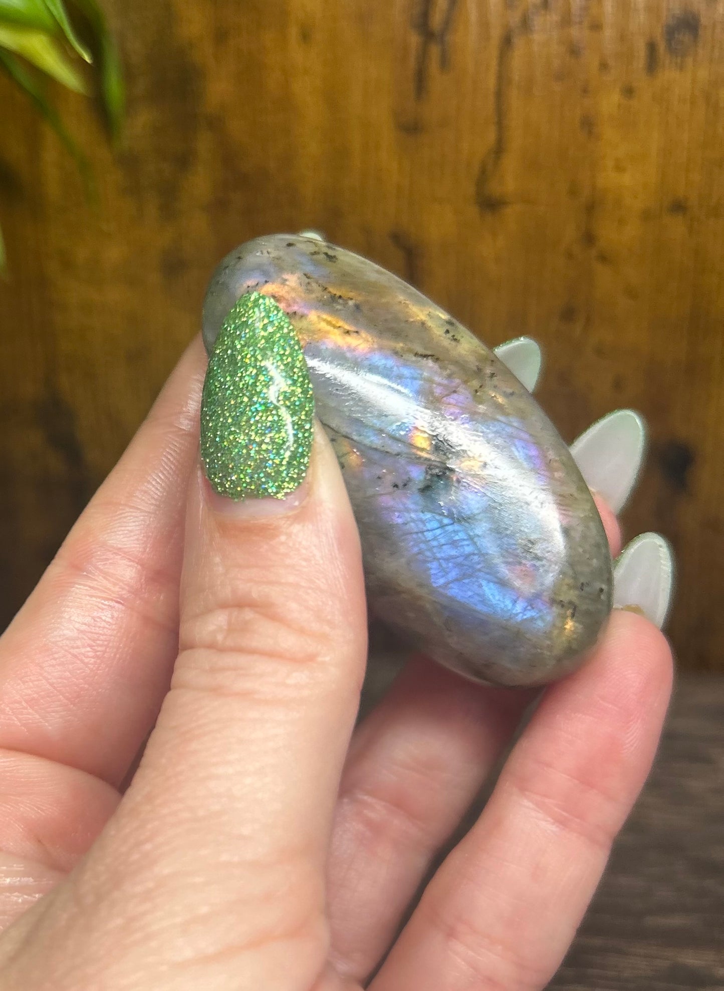 Labradorite Multi Rainbow Flashy Palmstone
