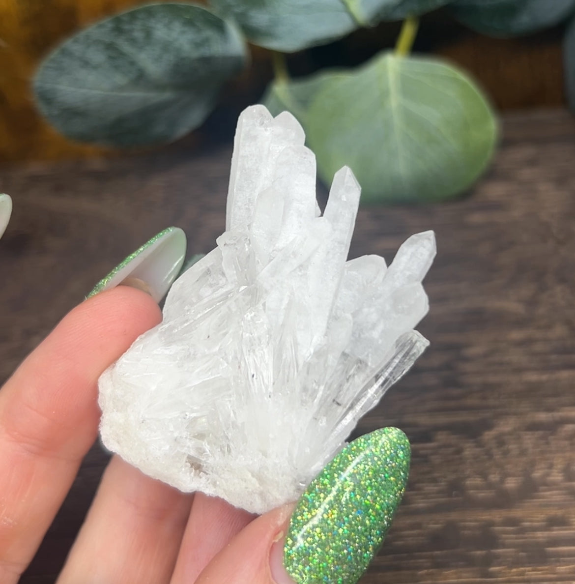Quartz Needle Point Cluster Specimen