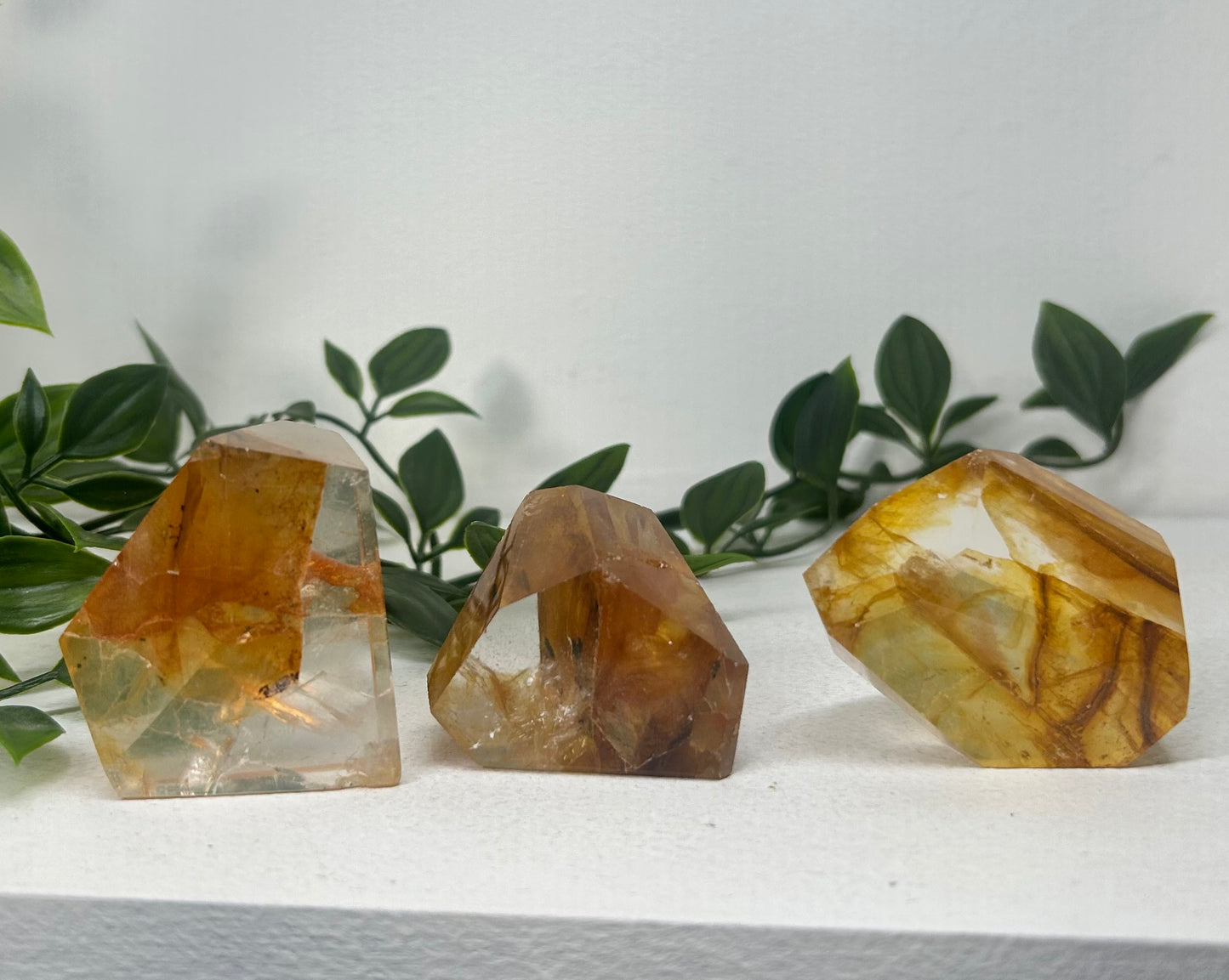 Golden Healer Freeform