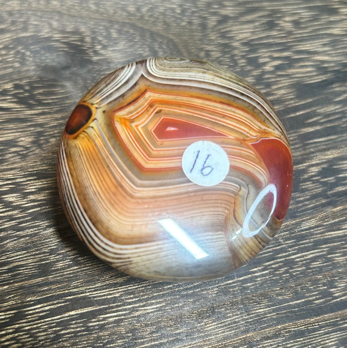 Sardonyx Palm / Carving / Paperweight