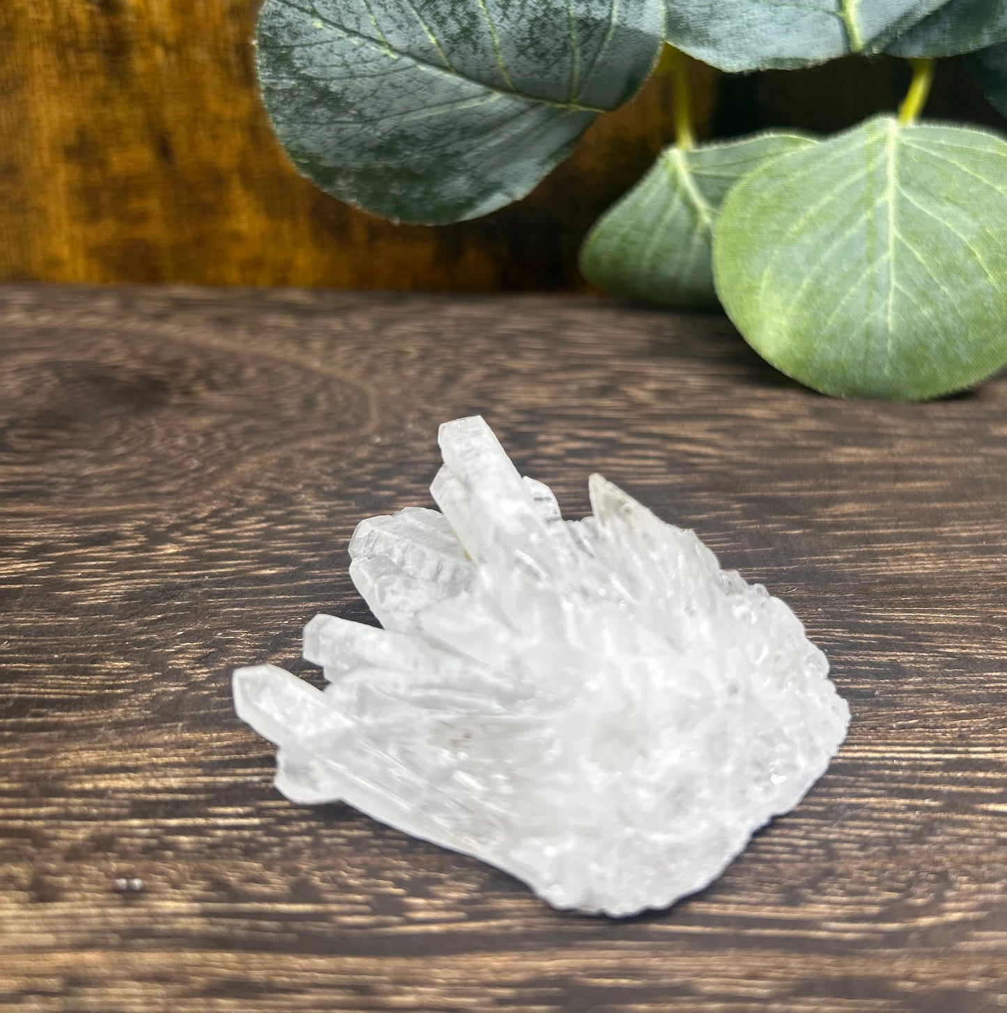 Quartz Needle Point Cluster Specimen