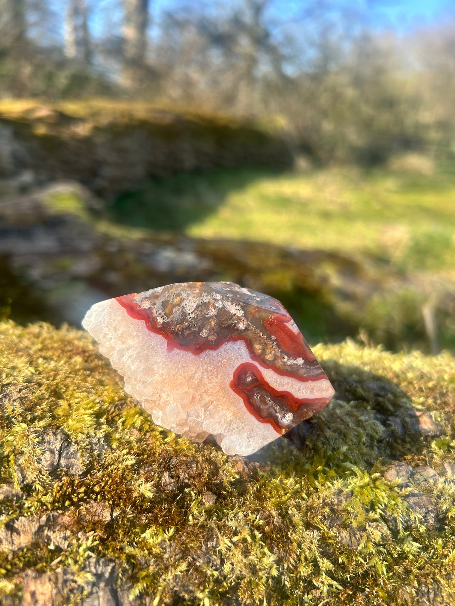Red Moss Agate Druzy Freeform