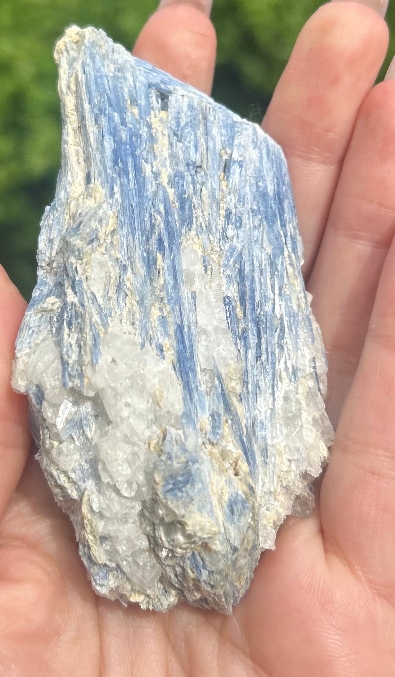 Kyanite With Quartz Raw