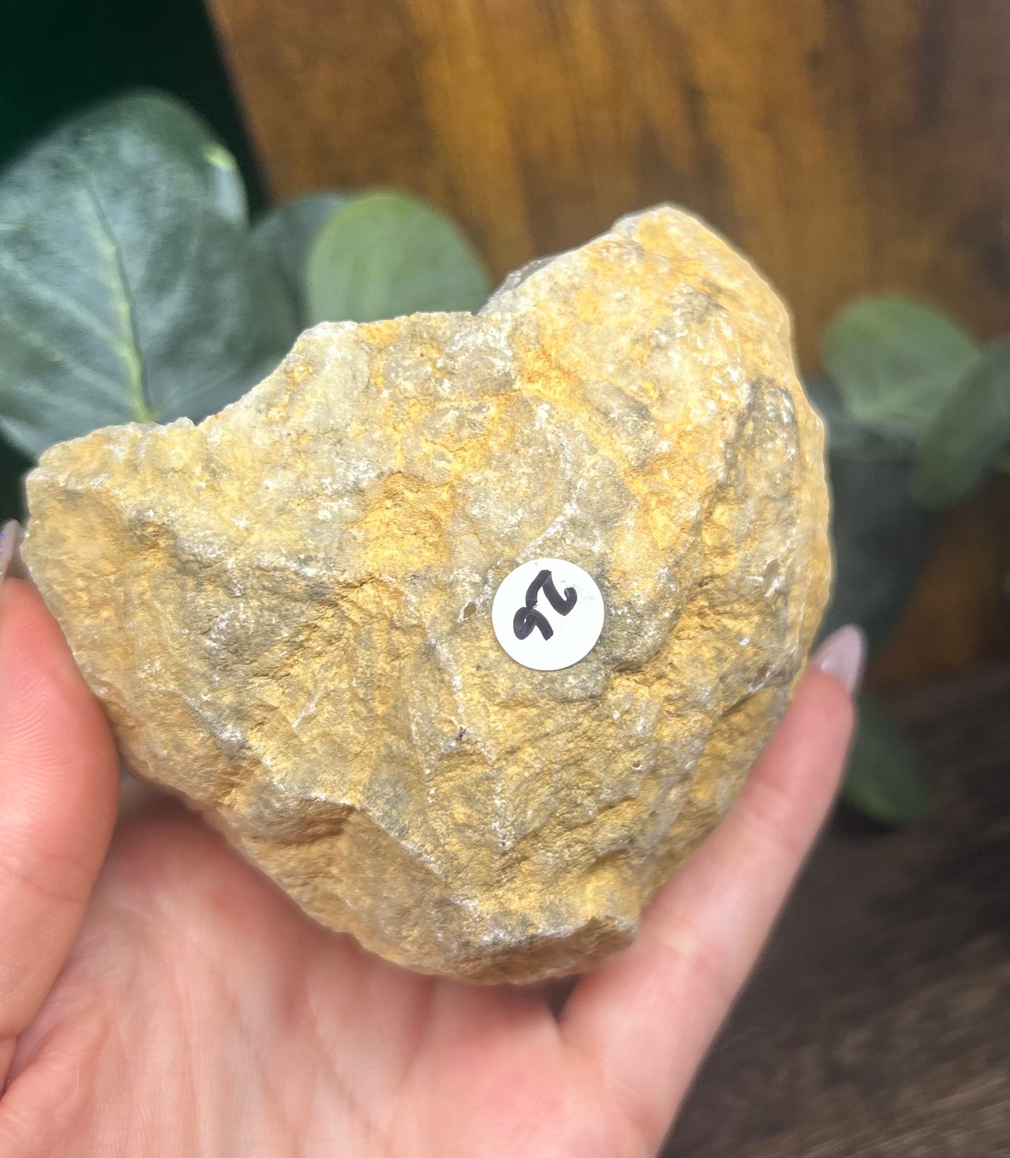Quartz Sparkley Crystal Raw Geode
