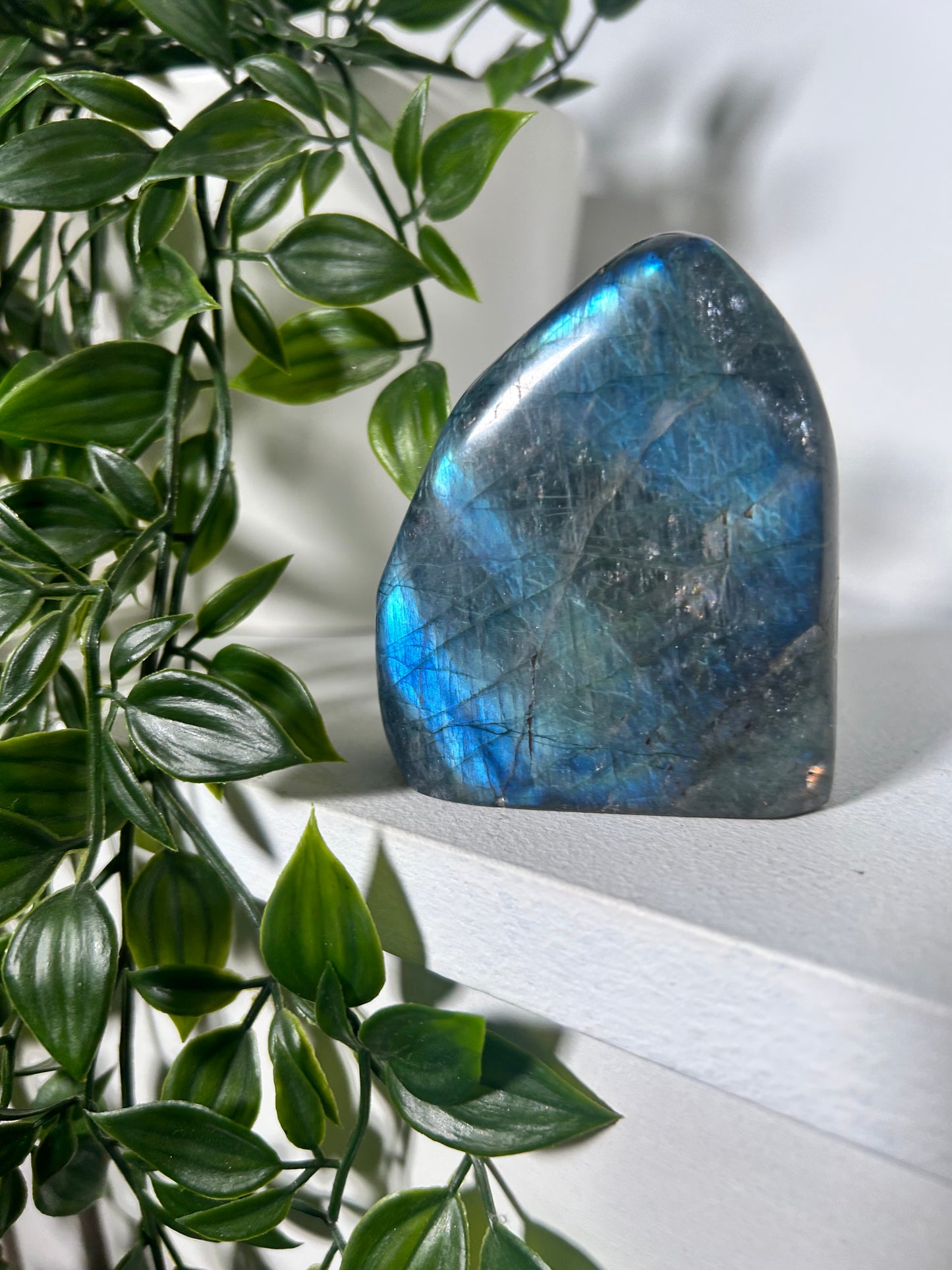 Labradorite Flashy Freeform