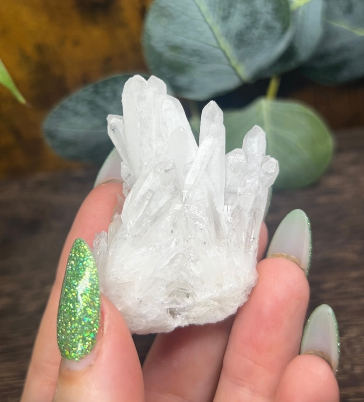 Quartz Needle Point Cluster Specimen