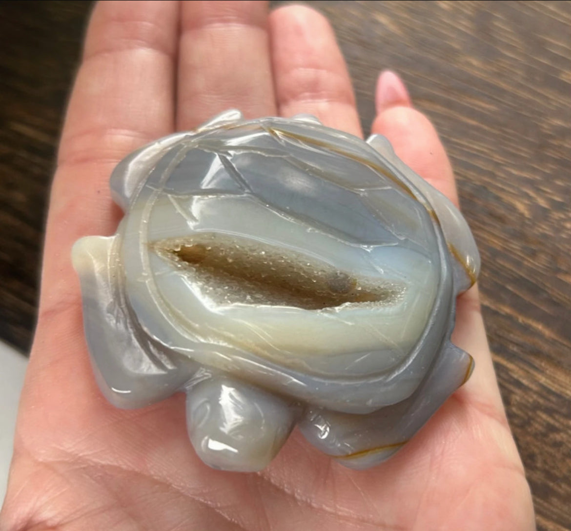 Druzy Agate Crystal Turtle