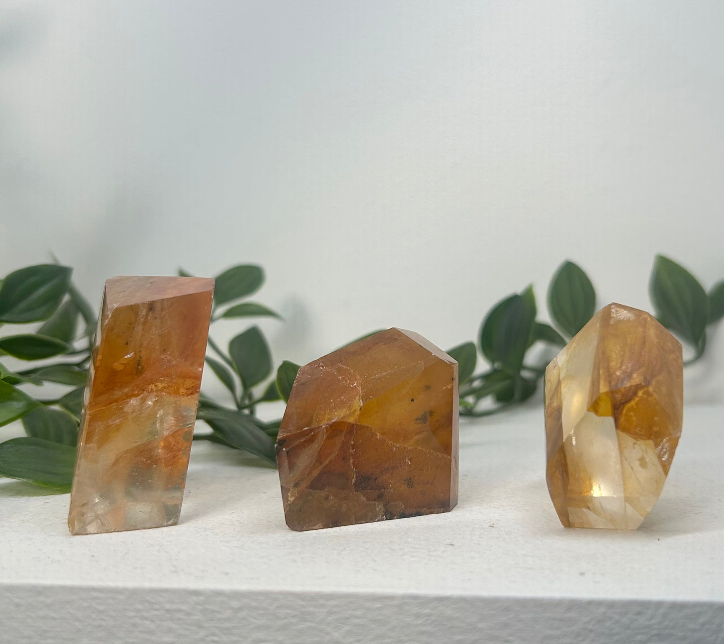 Golden Healer Freeform