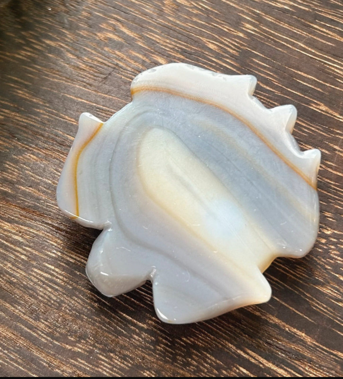 Druzy Agate Crystal Turtle