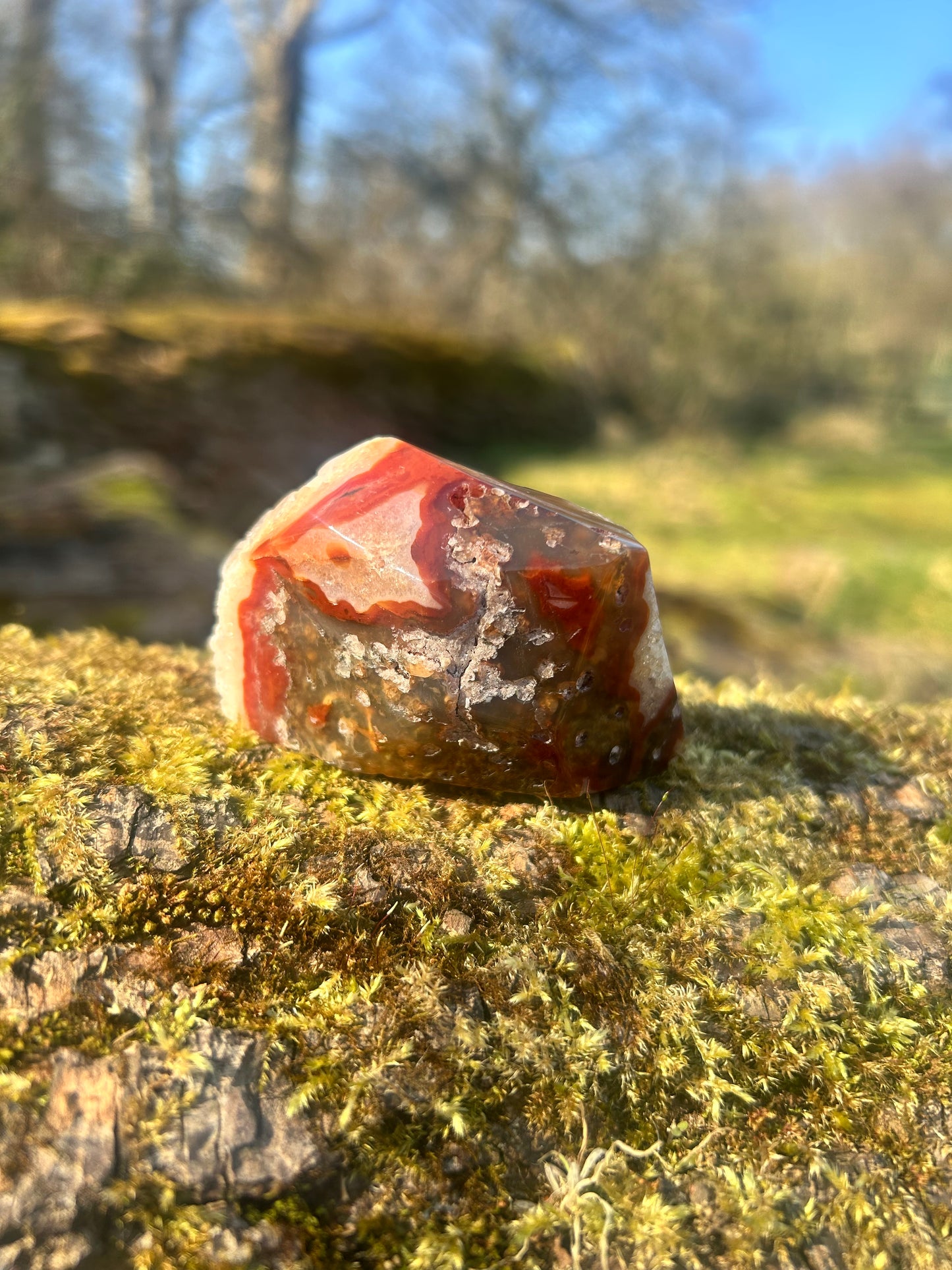 Red Moss Agate Druzy Freeform