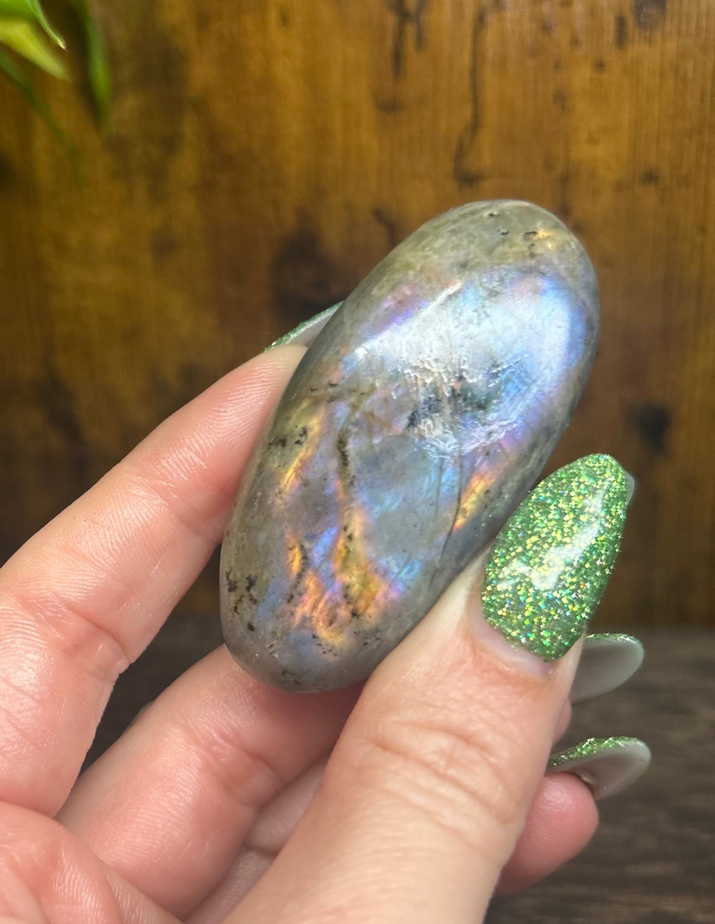 Labradorite Multi Rainbow Flashy Palmstone